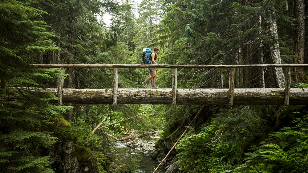 RAF-woman-in-forest-blog.jpg