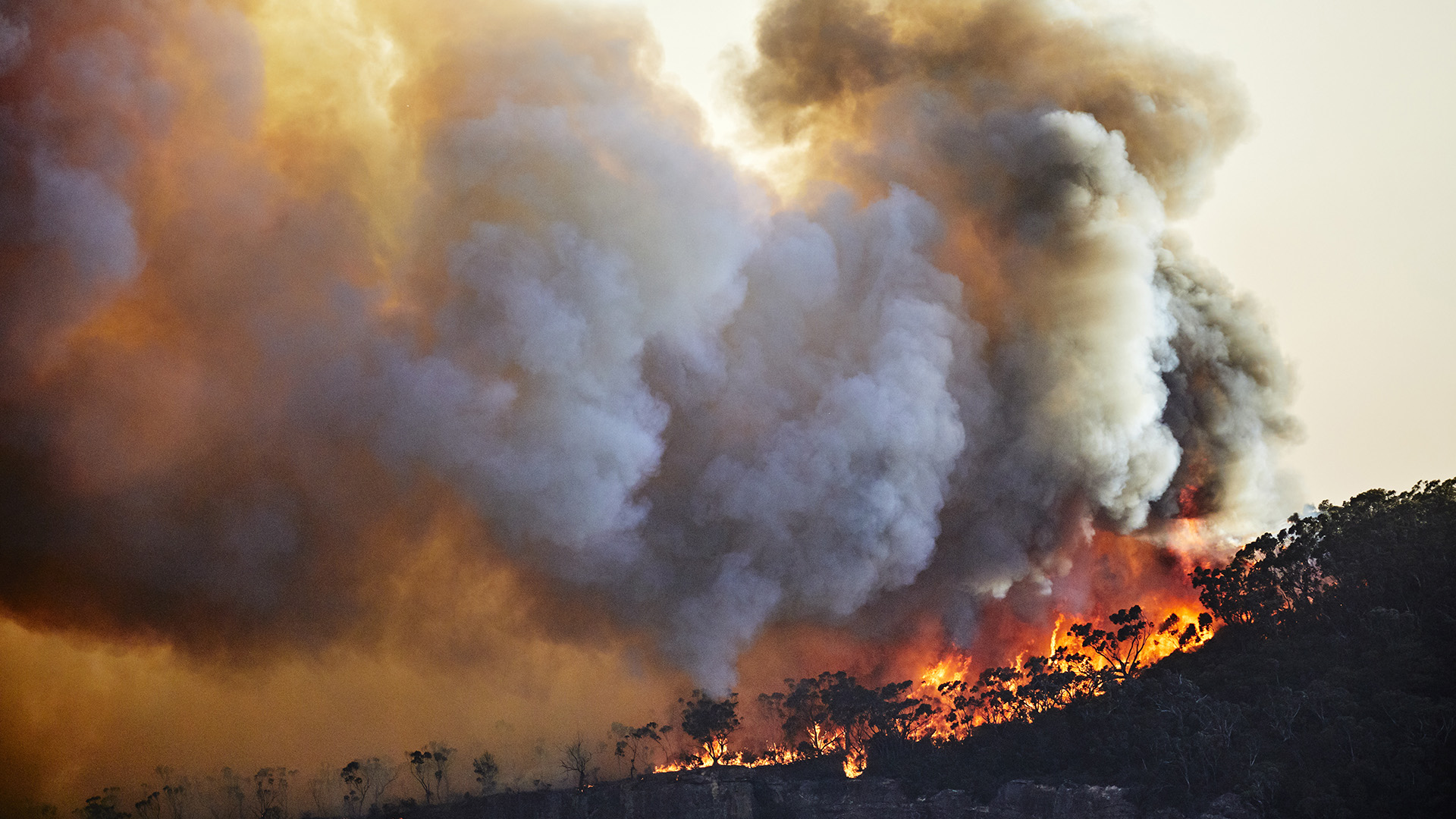 forest-fire-climate-change.jpg