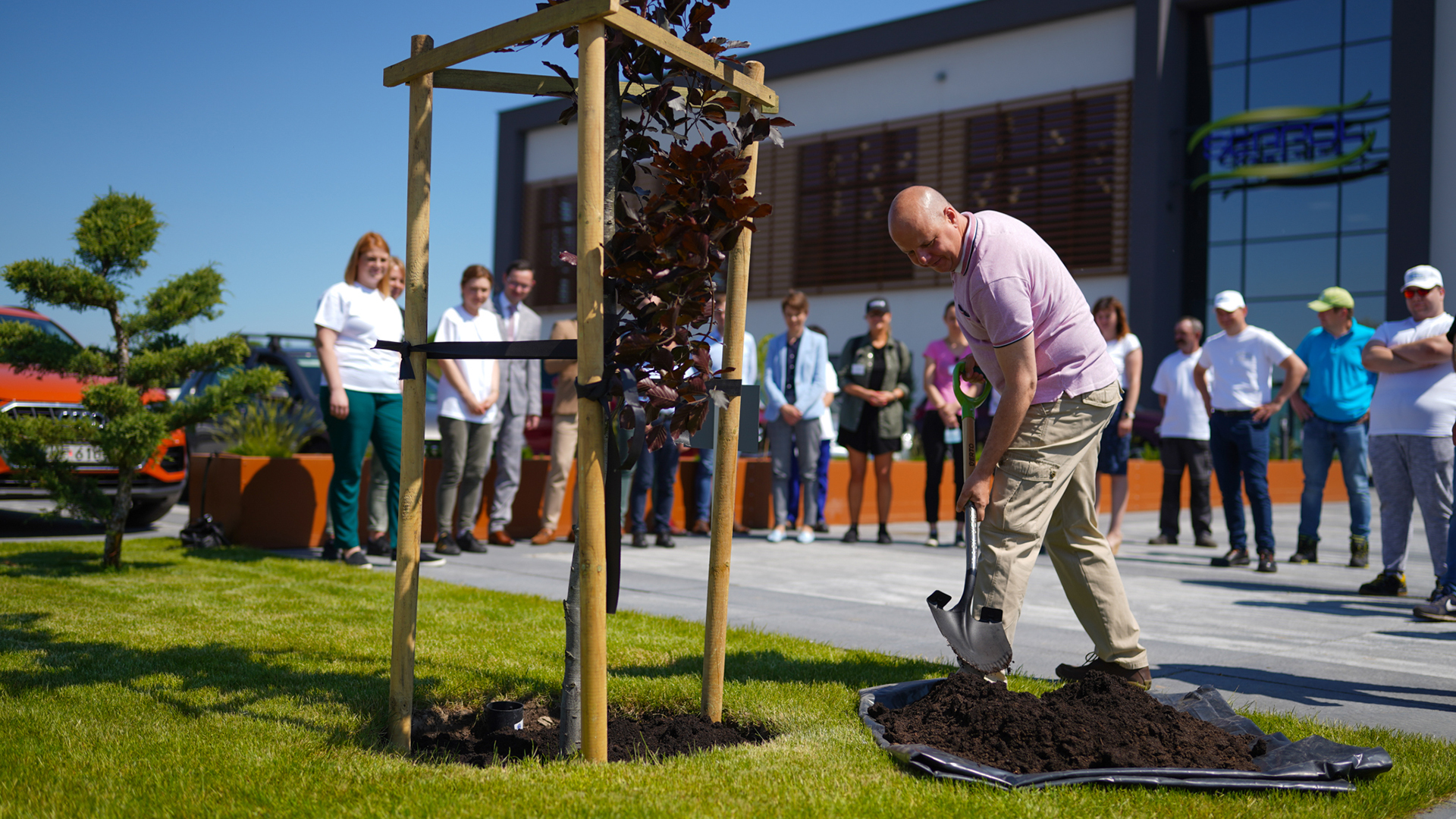 tree-planting.jpg